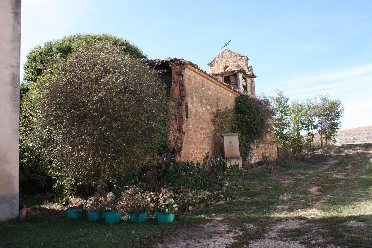 Fotografía de la galería de imágenes con id: 849